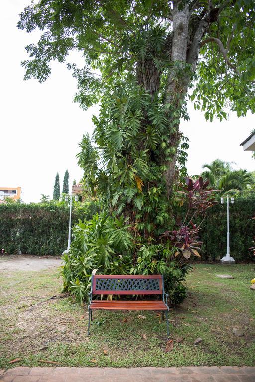 Hotel Casa Maria San Pedro Sula Dış mekan fotoğraf